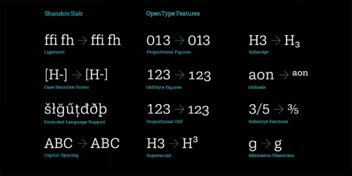 Shandon Slab - 18 Styles Font Family