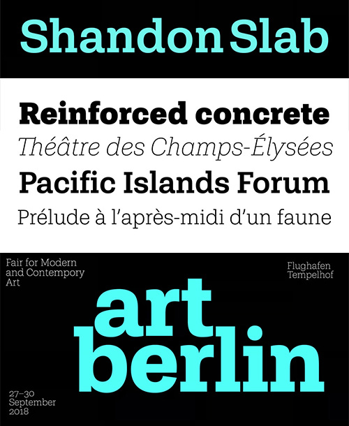 Shandon Slab - 18 Styles Font Family