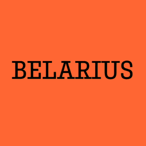 Belarius - 90 Styles + 2 Variable Fonts Family
