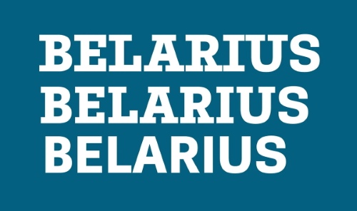 Belarius - 90 Styles + 2 Variable Fonts Family