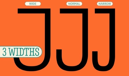 Belarius - 90 Styles + 2 Variable Fonts Family