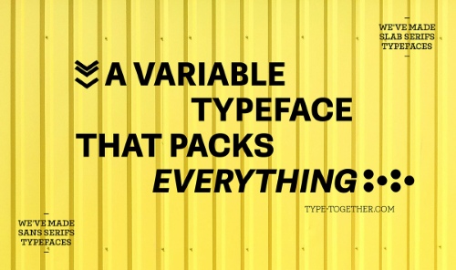 Belarius - 90 Styles + 2 Variable Fonts Family