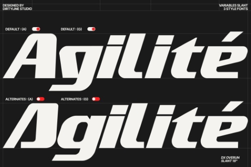 DX Overun - 3 Styles Font Family NEW