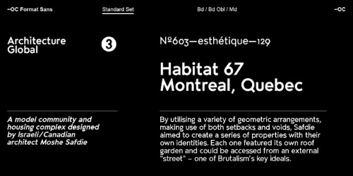 OC Format Sans v1.3 - 24 Styles Font Family