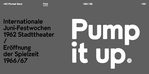 OC Format Sans v1.3 - 24 Styles Font Family