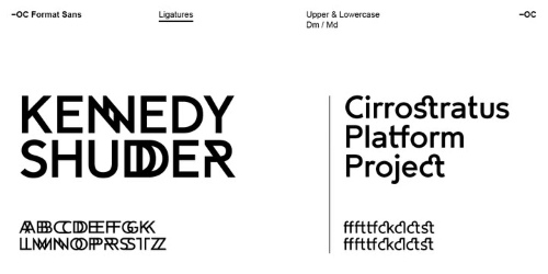 OC Format Sans v1.3 - 24 Styles Font Family