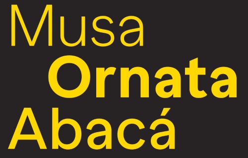 Banana Grotesk Sans & Mono - 24 Styles + Variable Font Family