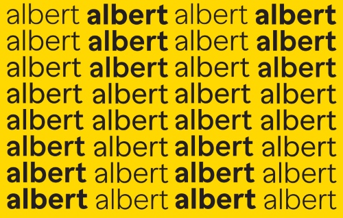 Banana Grotesk Sans & Mono - 24 Styles + Variable Font Family