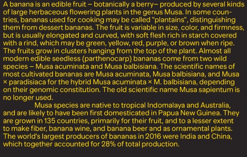 Banana Grotesk Sans & Mono - 24 Styles + Variable Font Family