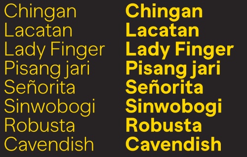 Banana Grotesk Sans & Mono - 24 Styles + Variable Font Family