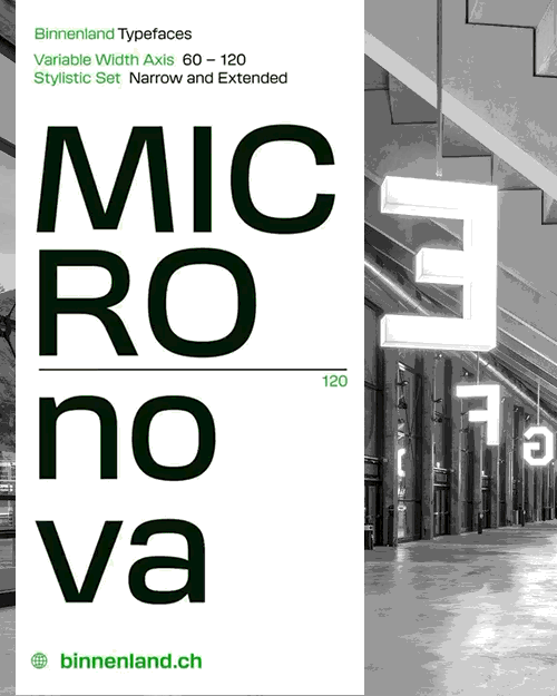 Micronova - 16 Static Styles + 2 Variable Fonts Family