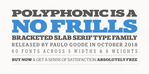 Polyphonic - 60 Styles Extended Latin SuperFamily Polyphonic - 60 Styles Extended Latin SuperFamily
