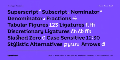 Banda Nova - 14 Styles Font Family