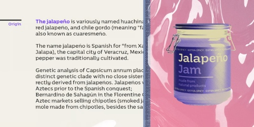 Banda Nova - 14 Styles Font Family