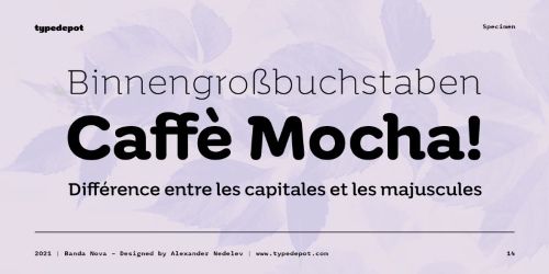 Banda Nova - 14 Styles Font Family