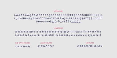 Mezalia Sans - 20 Styles Font Family