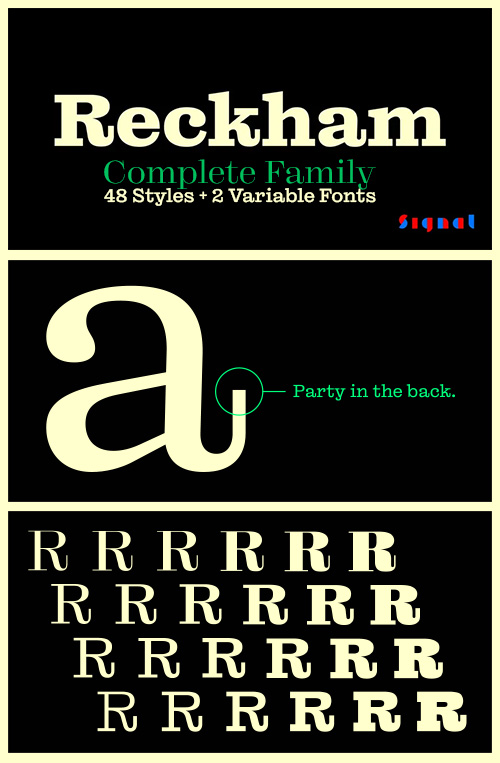 Reckham - Complete Family 48 Styles + 2 Variable Fonts NEW!