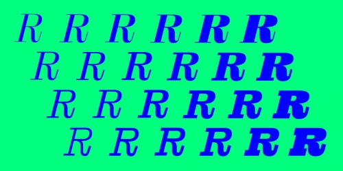 Reckham - Complete Family 48 Styles + 2 Variable Fonts NEW!