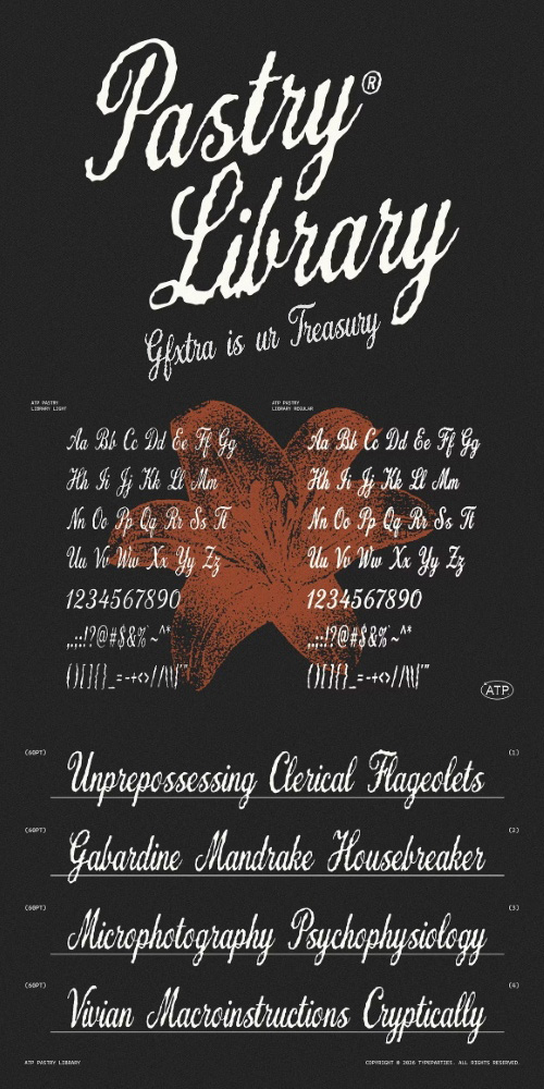 Pastry Library - Vintage Script Font 292184399