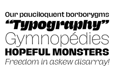 Hagrid SuperFamily - 71 Styles + 7 Variable Fonts Hagrid SuperFamily - 71 Styles + 7 Variable Fonts