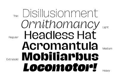 Hagrid SuperFamily - 71 Styles + 7 Variable Fonts Hagrid SuperFamily - 71 Styles + 7 Variable Fonts