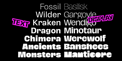 Hagrid SuperFamily - 71 Styles + 7 Variable Fonts Hagrid SuperFamily - 71 Styles + 7 Variable Fonts