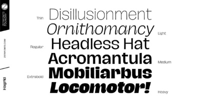 Hagrid SuperFamily - 71 Styles + 7 Variable Fonts Hagrid SuperFamily - 71 Styles + 7 Variable Fonts