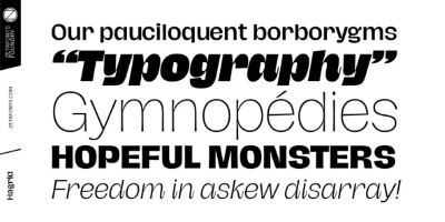 Hagrid SuperFamily - 71 Styles + 7 Variable Fonts Hagrid SuperFamily - 71 Styles + 7 Variable Fonts