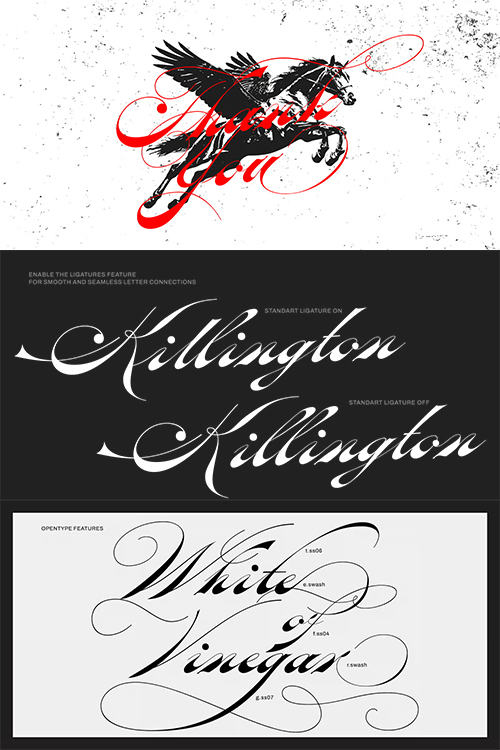 Oldisire Script - Single Style OTF New! Oldisire Script - Single Style OTF New!