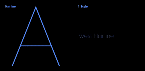 West Collection - 18 Styles + Variable Font Family