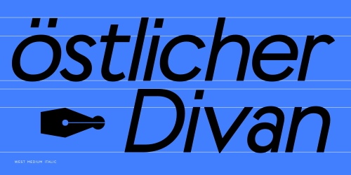 West Collection - 18 Styles + Variable Font Family