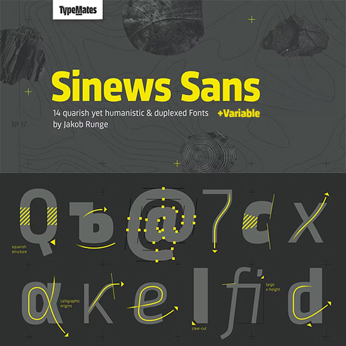 Sinews Sans - 14 Styles + Variable Font Family Sinews Sans - 14 Styles + Variable Font Family