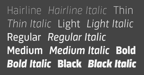 Sinews Sans - 14 Styles + Variable Font Family Sinews Sans - 14 Styles + Variable Font Family