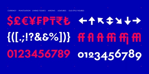 Futura Now Superfamily - 102 Styles + 5 Variables Futura Now Superfamily - 102 Styles + 5 Variables