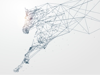 Network Connections Turning into Sport Motion #1/2, 25xAI