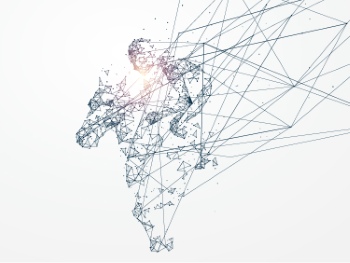 Network Connections Turning into Sport Motion #1/2, 25xAI
