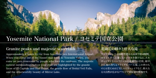 Hiragino Family Collection - Sans & Serif 17 Styles