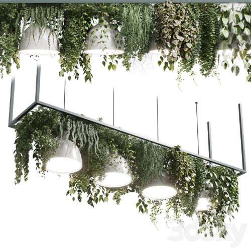 3dsky Pro - pot light pendant - plant light hanging 08 vray