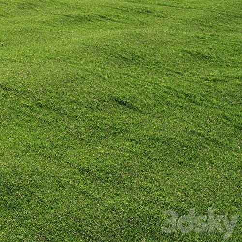 3dsky Pro - outdoor grass 3