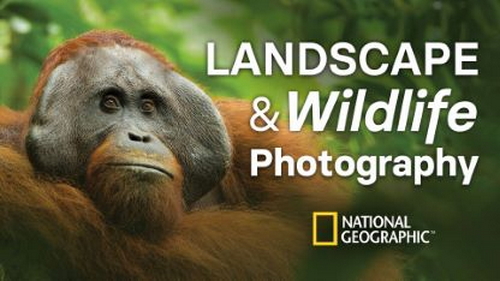 'The Great Courses - The National Geographic Guide to Landscape and Wildlife Photography'
