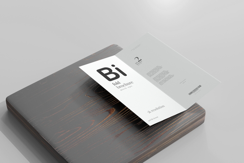 Bi Fold DL Brochure Mockups