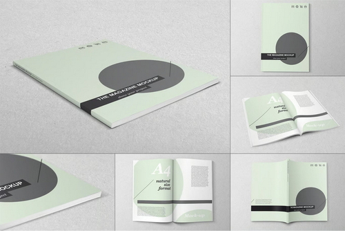 A4 Magazine Mock-up