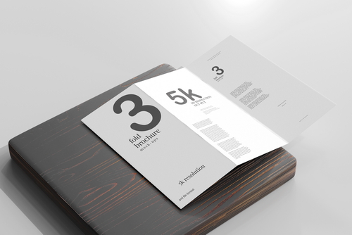 Tri Fold DL Brochure Mockups