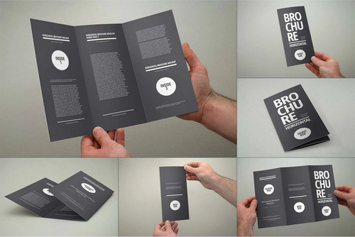 3xDL Brochure Mock-up