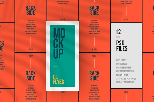 DL Flyer Mockup