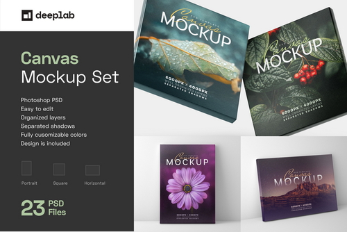 Canvas Mockup Set