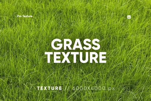 30 Grass Texture HQ