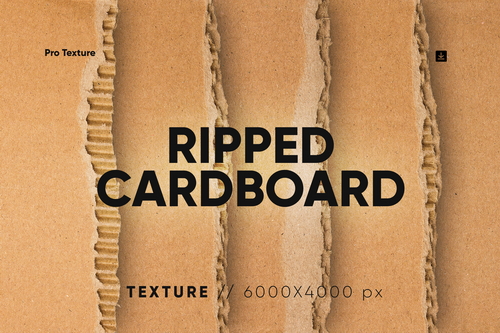 20 Ripped Cardboard Overlay