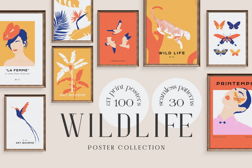 Wildlife Prints Posters