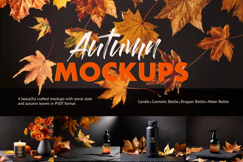 Autumn Leaves & Slate Mockups